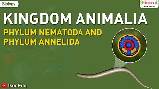 Kingdom Animalia Phylum Nematoda and Phylum Annelida  Biology  iKen  iKen Edu  iKen App [upl. by Iruy]