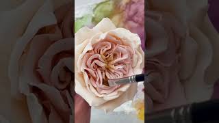 David Austin Rose 🌹 stepbystep course available [upl. by Carlota290]