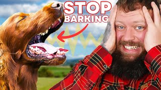 How To Stop Your Dog Barking  You Can Do This Right Now [upl. by Stanzel]