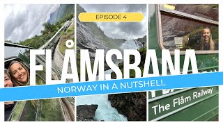 Norway In A Nutshell  Ep 4  FLAMSBANA Train Back To Oslo [upl. by Parhe]