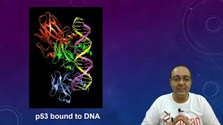 DNaseI Footprinting Technique  Molecular Biology [upl. by Enirroc]