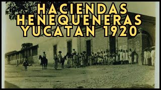 🔴LA VIDA en las HACIENDAS HENEQUENERAS DE YUCATÁN 1920 ⚜ hacienda history historia cultura [upl. by Acnalb]