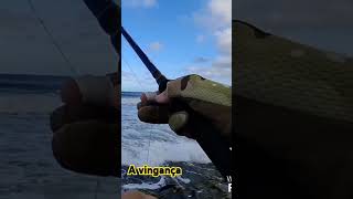 A isca do big xareu de 113kg fishing [upl. by Nnyre]