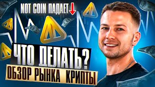 NOTCOIN ПАДАЕТ ЧТО ДЕЛАТЬ КАК НЕ ПОТЕРЯТЬ [upl. by Florencia]