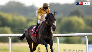 Reaching High son of Gold Cup hero Estimate BOLTS UP at Wolverhampton [upl. by Amalia]