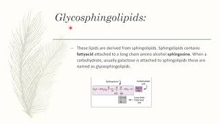 Glycolipids [upl. by Rossner]