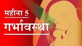 गर्भावस्था  महीना 5  Pregnancy  Hindi  Month 5  Week 18 to week 21 [upl. by Jammal]