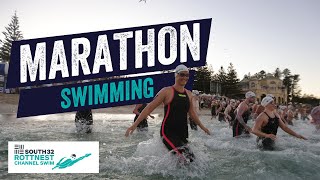 Marathon swimming through the open ocean Tips tricks and advice  South32 Rottnest Channel Swim [upl. by Lleryd45]