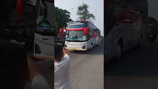 BUS MAHARDIKA busmania automobile basuri masukberanda buspariwisata basurimania [upl. by Ear]