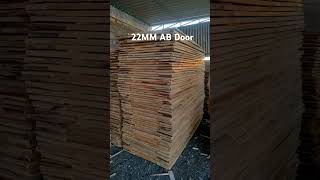 22mm AB Door song [upl. by Vernita]