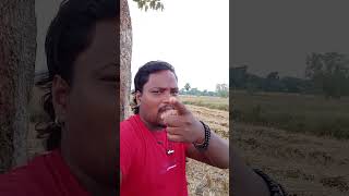 Khili Khili Dhoop Ho Jawan Jawan Shaam Ho🌺🌹ShortsADIVASI LOCAL VILLAGE VLOG 🌼🌾Pitabasasing208 [upl. by Karina]