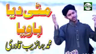 MITTI DEYA BAWIYA  MUHAMMAD JAHANZAIB QADRI  OFFICIAL HD VIDEO  HITECH ISLAMIC  BEAUTIFUL NAAT [upl. by Hobey574]