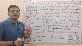 Anti Platelet Drug Part 01 Introduction amp Classification of Antiplatelet Drugs  Antiplatelet Drug [upl. by Ransell669]