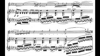 Vieuxtemps  Elegy for Viola piano accompaniment [upl. by Aker]