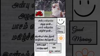 Good Morning QuotesGood morning Quotes imagesGood MorningTamil QuotesAaric Mithran [upl. by Lirrad]