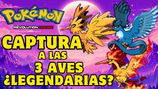 Captura a las 3 aves ¿Legendarias  Pokémon Revolution [upl. by Shelah]