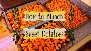 How to Blanch Sweet Potatoes DIY [upl. by Guillaume]