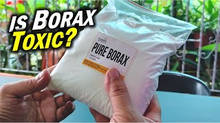 The Shocking Truth About BORAX Is It TOXIC or SAFE sodium tetraborate [upl. by Yuria95]