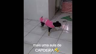 Mais uma aula de capoeira ðŸ¤£ [upl. by Siuol838]