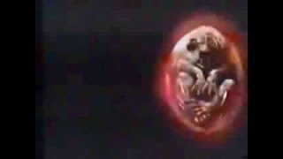 PROFEZIA  PROPHECY 1979  Trailer Originale [upl. by Ehrman]