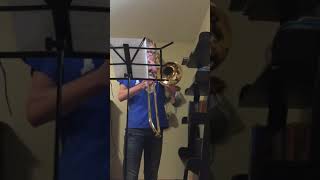 Wii Sports Theme on Trombone [upl. by Paule]