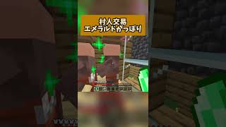 【マイクラ】村人交易でストレス発散！！マイクラ マインクラフト ゲーム配信者 [upl. by Nairehs762]