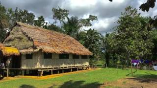 Casa Shipibo Peru  May 2016 [upl. by Salamone]