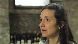 Variedad Tannat y Biodiversidad de Levaduras  Área Enología y Biotecnología de Fermentaciones [upl. by Rosetta]