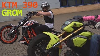 KTM 390 vs GROM Wheelie Showdown [upl. by Griffie]