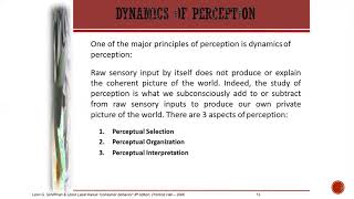 Consumer Perception [upl. by Fallon]