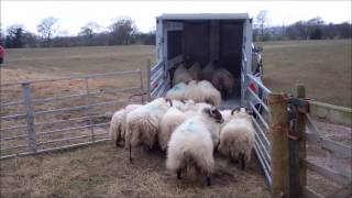 Farmers Guardian Houghton Parkhouse T35 livestock transporter [upl. by Brady]