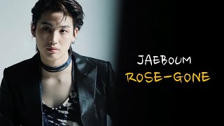 JAEBEOM LİM  ROSÉ  Gone MV [upl. by Hgiellek258]