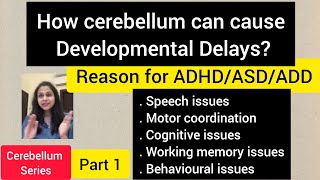 How cerebellum can cause developmental delaysReason for ADHDASDADD amp learning issuespart 1 [upl. by Inessa]