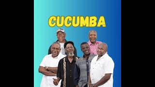 CUCUMBA IN THE SALAD  TOUCH 2023  VINCY SOCA 2023 OFFICIAL AUDIO FROM TOUCH BAND SVG [upl. by Waller]