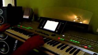 Mike Oldfield  Moonlight shadow Cover by Albert [upl. by Nirel]