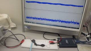 基礎実験（ポリイミドフィルムに鉄めっきを行った部材を利用した超音波プローブ） [upl. by Desdemona]