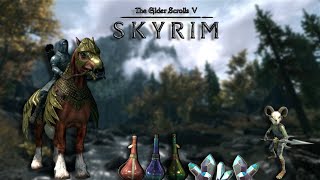 Returning to Skyrim After a Break  Lets Explore Together No Mic [upl. by Ailegnave]