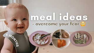 How to Start Baby Led Weaning at 6 Months  BLW Meals  6 Month Baby Update [upl. by Darrel]