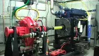 Haltech Diesel Engine Dyno [upl. by Hylton72]