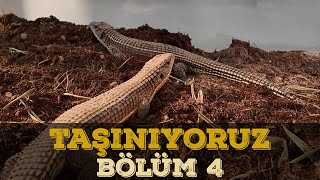 HARİKA BİR İŞ ÇIKARDIK  BÖLÜM 4 [upl. by Carmina]