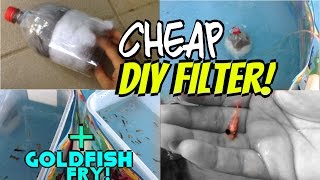 DIY cheap air driven filter  moving goldfish fry outdoors [upl. by Jamilla479]