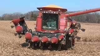 Galusha Farm  Case IH 2388 Combine and a Geringhoff Folding Corn Head [upl. by Noiramaj]