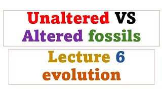 Unaltered Vs Altered fossils [upl. by Cesaria]