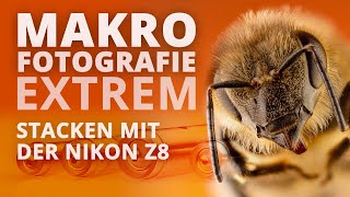 Makrofotografie extrem  Stacken mit der Nikon Z8 – Fotostories [upl. by Jobye]