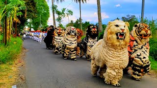 Asmr Lion dance and drumband parade in the village of mengok [upl. by Drummond]