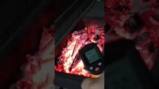 Замер температуры углей в мангале Measuring the temperature of the coals in the grill food еда [upl. by Verile]