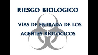 RIESGO BIOLÓGICO Vías de entrada de los Agentes Biológicos [upl. by Araiet]