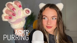 BEST PURRING ASMR of 2023 [upl. by Wiskind543]