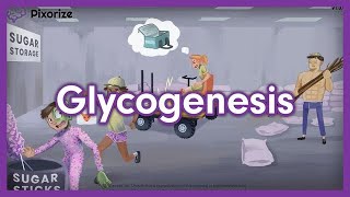 Glycogenesis Mnemonic for USMLE [upl. by Allerus]