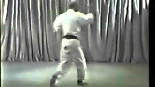 4 Wado Ryu Karate Kata Pinan Yondan  Tatsuo Suzuki [upl. by Derrick149]